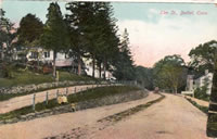 Elm Street (now Greenwood Avenue) c. 1910                             Note trolley off in the distance. 